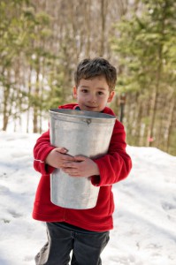 Maple Syrup Equipment