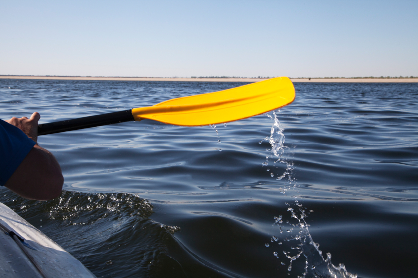 Kayak paddle
