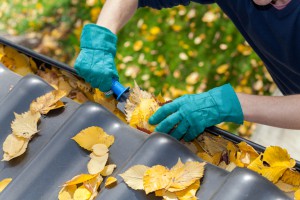 How to Clean Rain Gutters & Downspouts