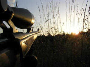 Which Hunting Scope is Right for Me?