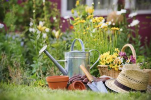 5 Gardening Tips to Get Ready for Spring