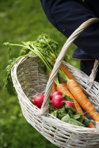 5 Easy-to-grow Vegetables