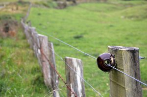 How to Select the Right Fence Controller