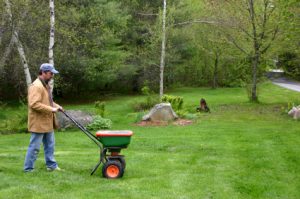How to Winterize Your Lawn