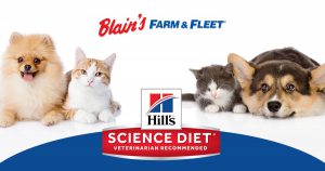 Hill's Science Diet In-Store Demo Events