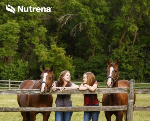Why are Amino Acids for Horses Important
