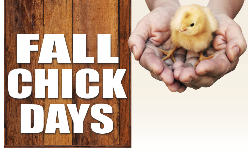 Chick Days Archives Blain's Farm & Fleet Blog